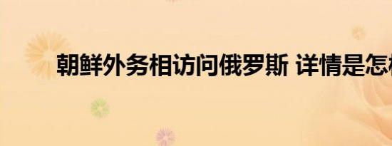 朝鲜外务相访问俄罗斯 详情是怎样