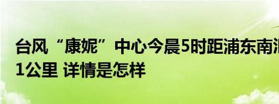 台风“康妮”中心今晨5时距浦东南汇嘴约571公里 详情是怎样