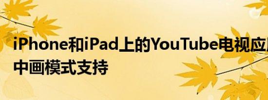 iPhone和iPad上的YouTube电视应用获得画中画模式支持