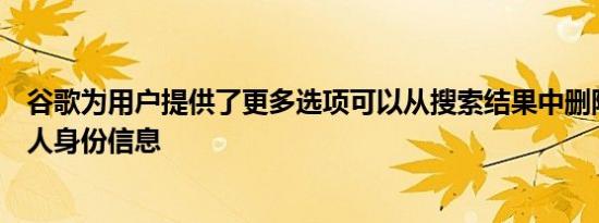 谷歌为用户提供了更多选项可以从搜索结果中删除他们的个人身份信息