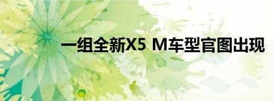 一组全新X5 M车型官图出现