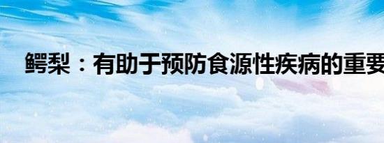 鳄梨：有助于预防食源性疾病的重要提示