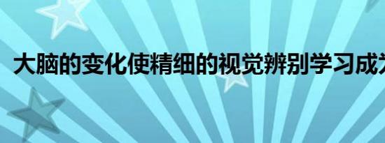 大脑的变化使精细的视觉辨别学习成为可能