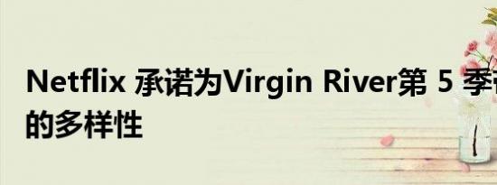 Netflix 承诺为Virgin River第 5 季带来更多的多样性