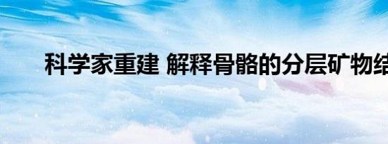 科学家重建 解释骨骼的分层矿物结构