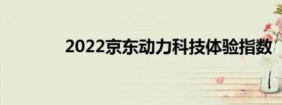 2022京东动力科技体验指数