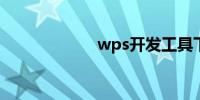 wps开发工具下载