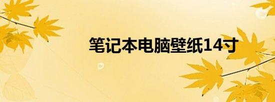 笔记本电脑壁纸14寸