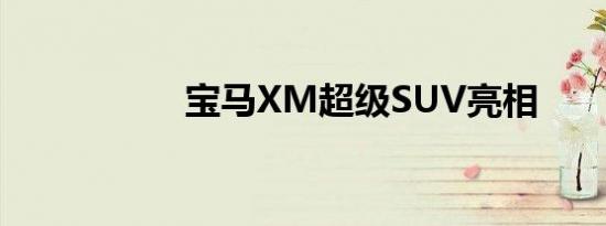 宝马XM超级SUV亮相