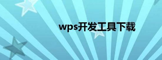 wps开发工具下载