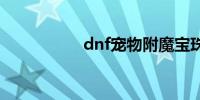 dnf宠物附魔宝珠大全