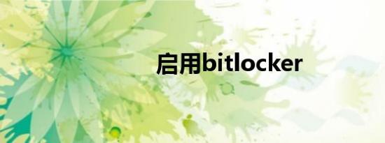 启用bitlocker