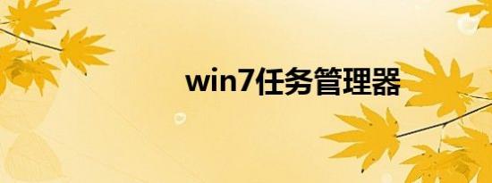 win7任务管理器