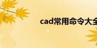 cad常用命令大全图表