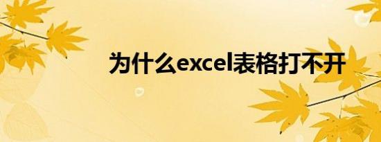 为什么excel表格打不开