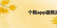 个税app退税流程