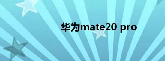 华为mate20 pro