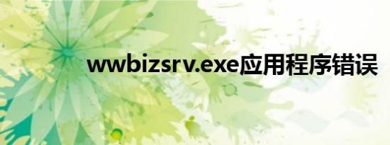 wwbizsrv.exe应用程序错误