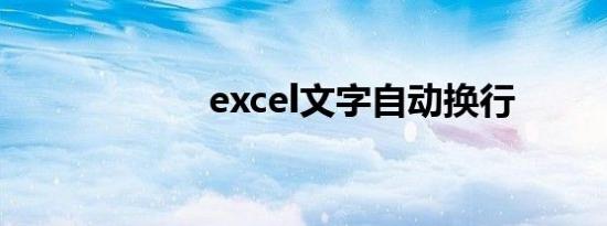 excel文字自动换行