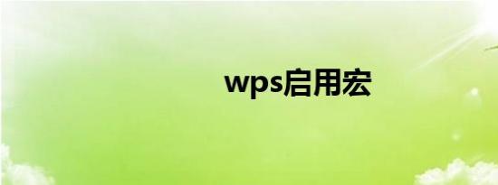 wps启用宏