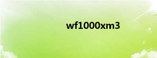 wf1000xm3