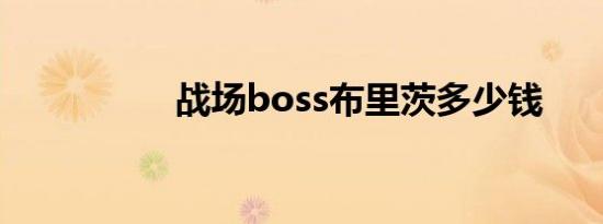 战场boss布里茨多少钱