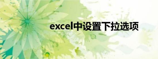 excel中设置下拉选项