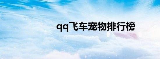 qq飞车宠物排行榜