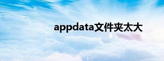 appdata文件夹太大