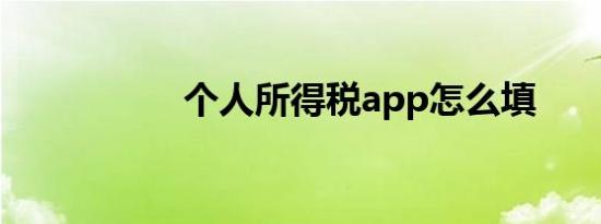 个人所得税app怎么填