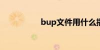 bup文件用什么播放器