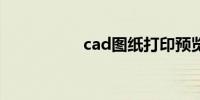 cad图纸打印预览空白