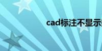 cad标注不显示数字