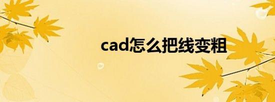 cad怎么把线变粗