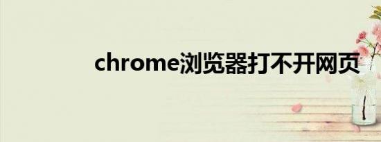 chrome浏览器打不开网页