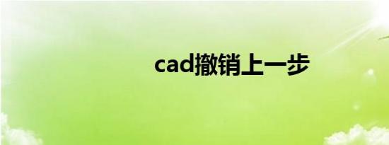 cad撤销上一步