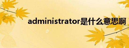 administrator是什么意思啊