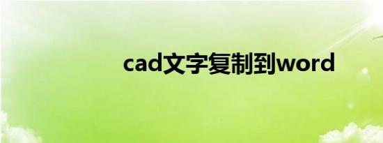 cad文字复制到word