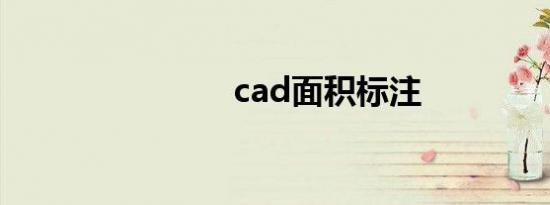 cad面积标注