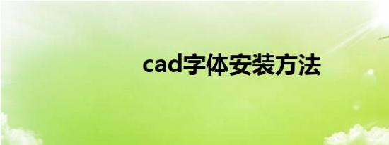 cad字体安装方法