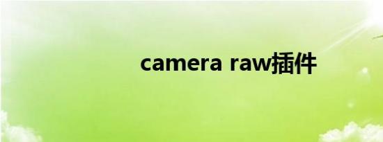 camera raw插件