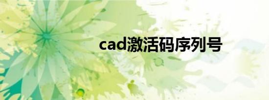 cad激活码序列号