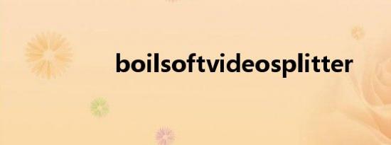 boilsoftvideosplitter