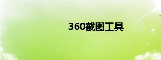 360截图工具