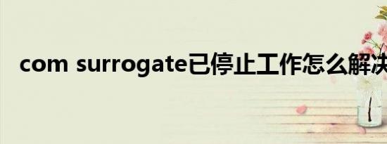 com surrogate已停止工作怎么解决64位