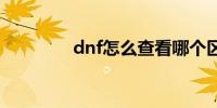 dnf怎么查看哪个区有角色