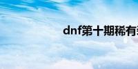 dnf第十期稀有装扮