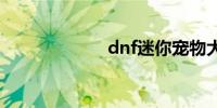 dnf迷你宠物大全