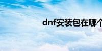 dnf安装包在哪个文件