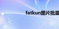 fatkun图片批量下载